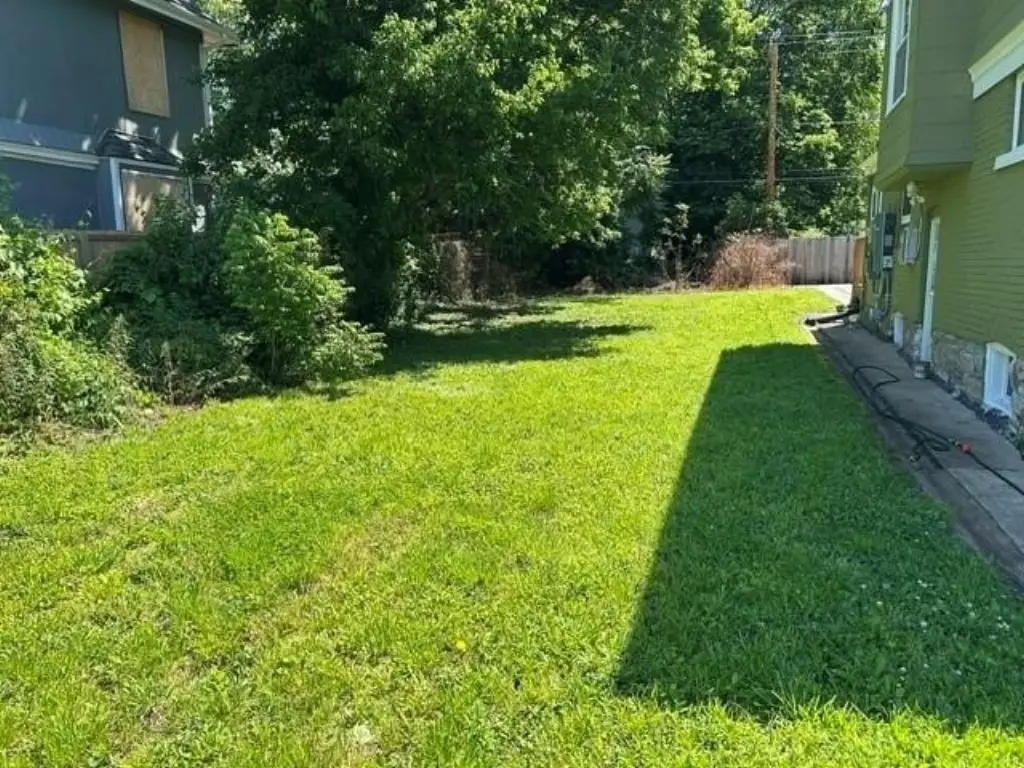 Picture 2
