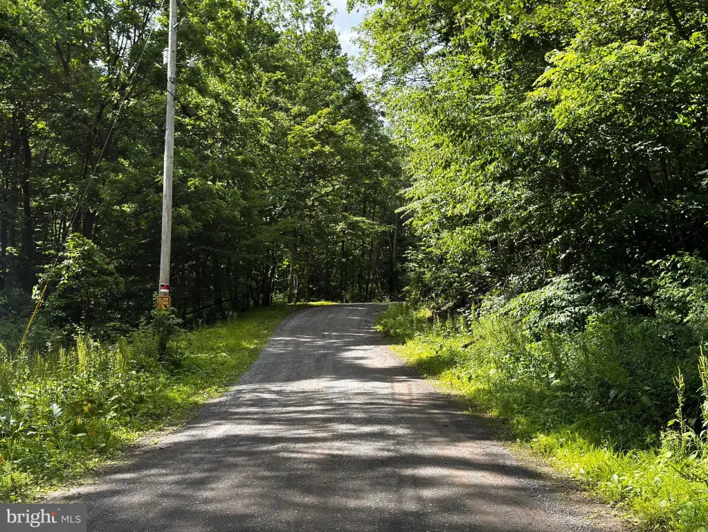 Picture 25