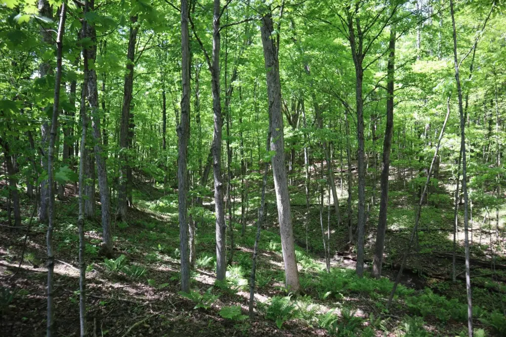 Picture 19