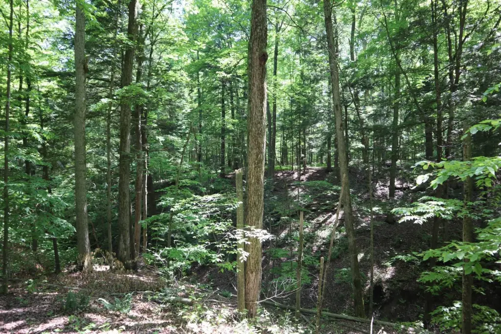 Picture 11