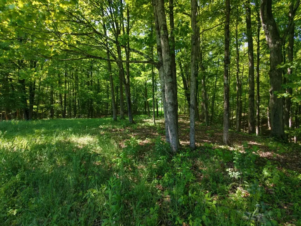 Picture 8