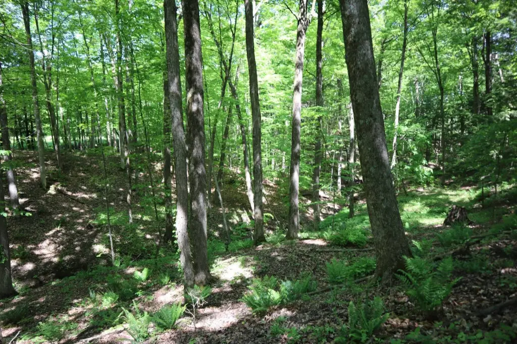 Picture 46