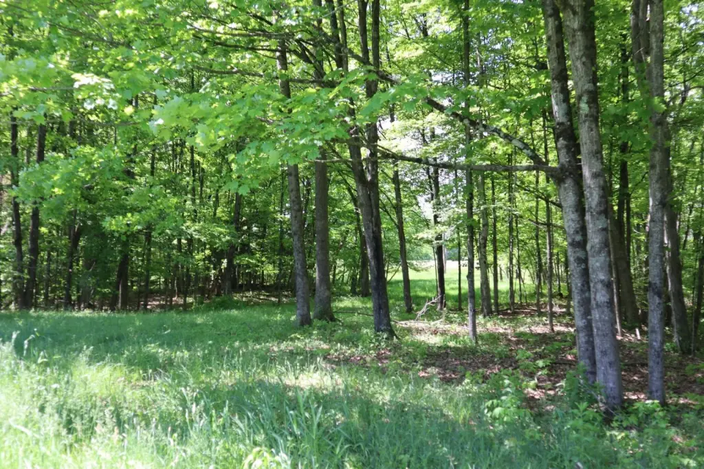 Picture 9