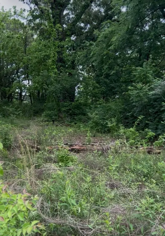 Picture 12