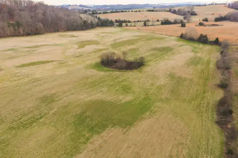Whitesburg Farmland with Mountain Views
