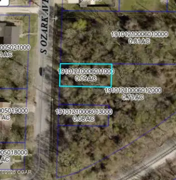 Buildable Lot in Central Joplin