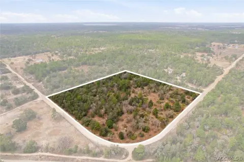 Untouched Florida Land Opportunity