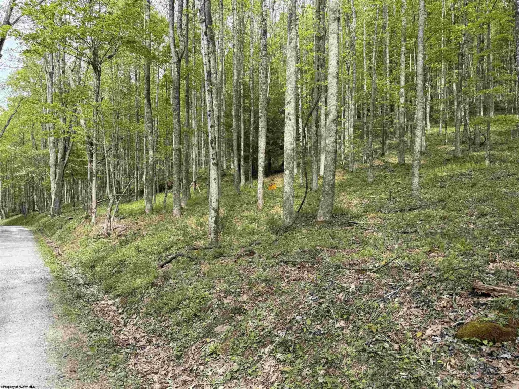 Picture 48