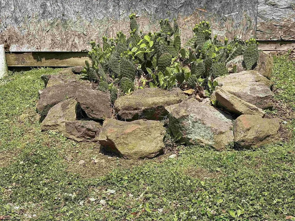 Picture 32