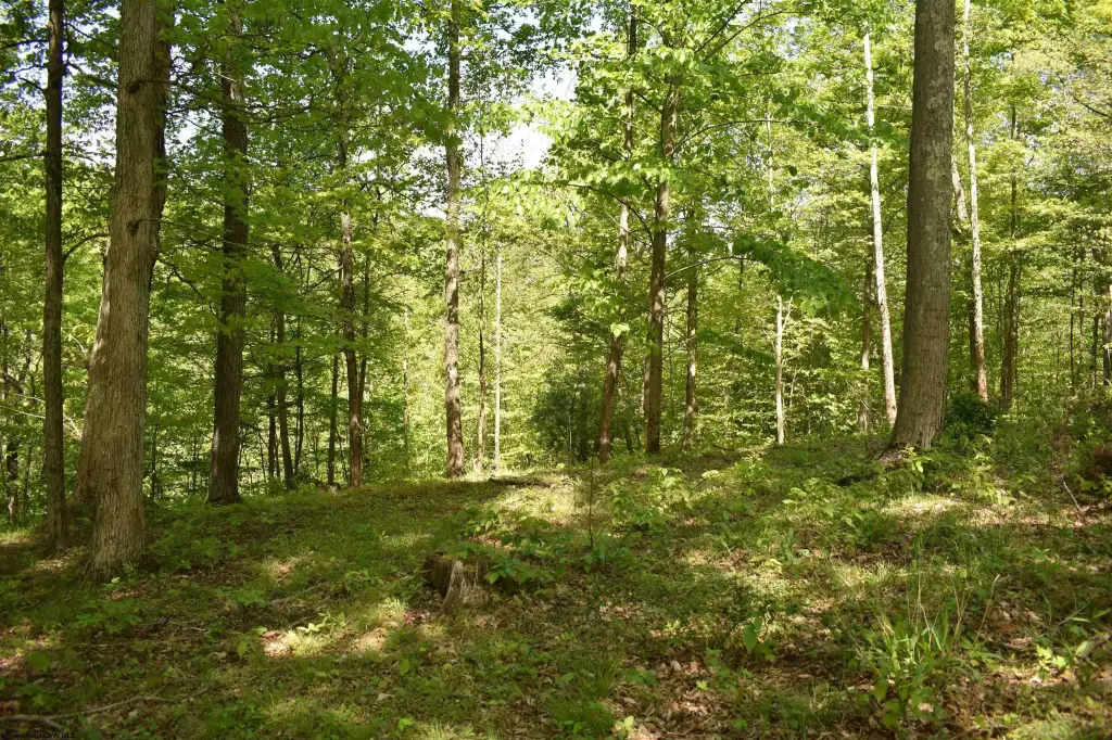 Picture 4