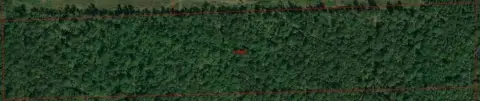 Secluded Land Tract in Buna, TX
