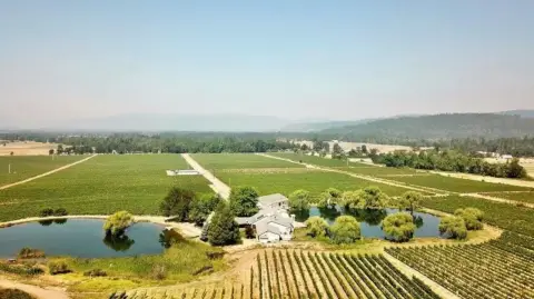 Southern Oregon Vineyard Estate For Sale
