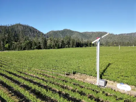 Applegate Valley Vineyard with Water Rights