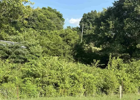 Residential Lot in Troy, TN