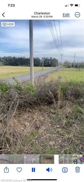 Picture 10