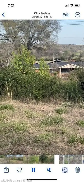 Picture 9