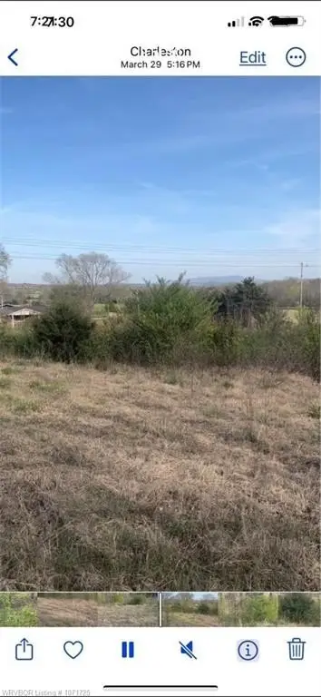 Picture 17