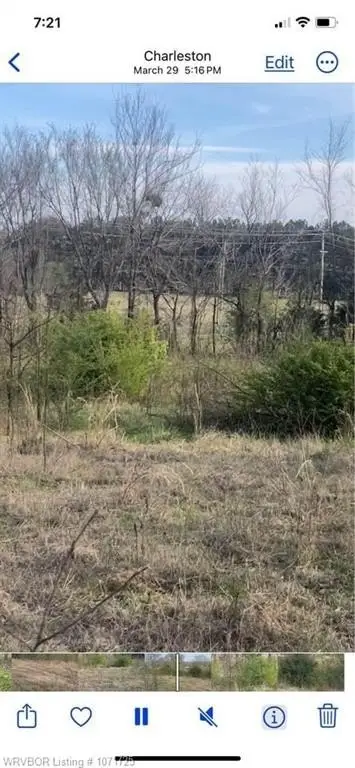 Picture 7