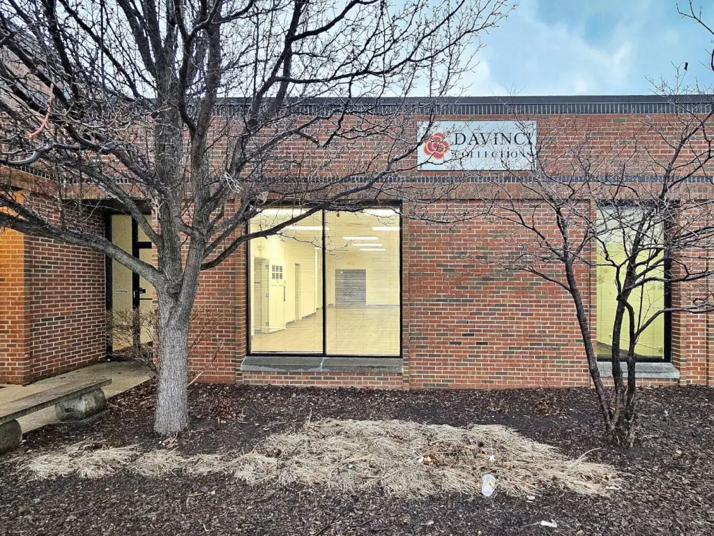 Picture 3