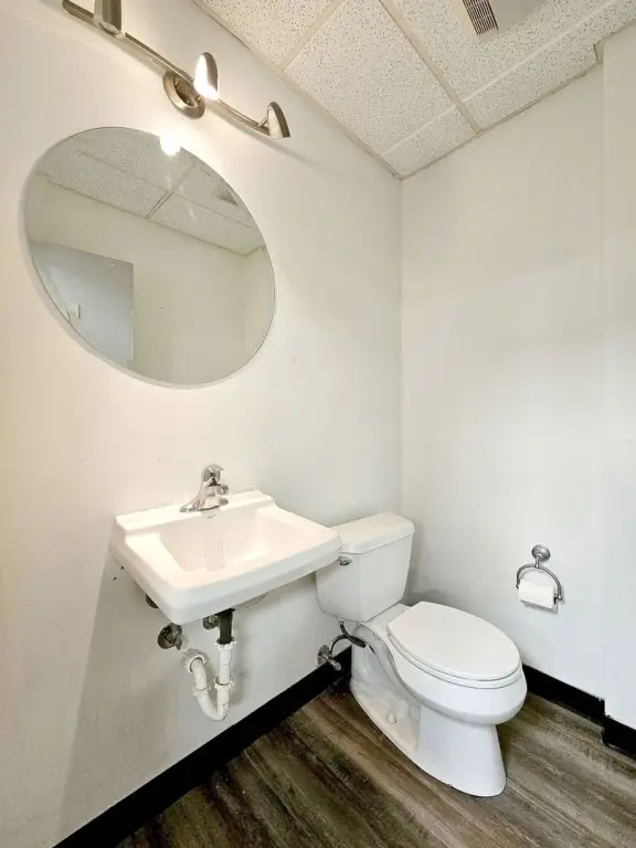 Picture 21