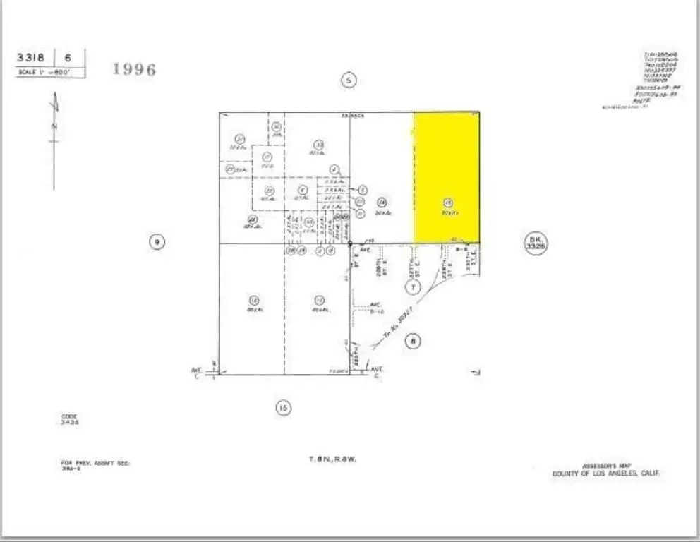 Picture 13