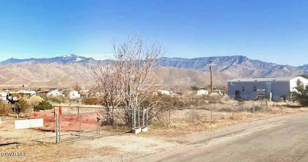 Picture 4