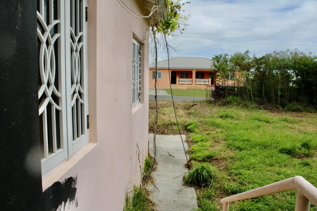 Picture 19