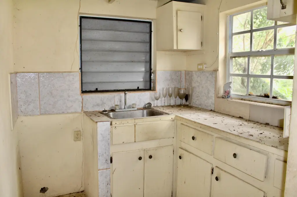 Picture 23