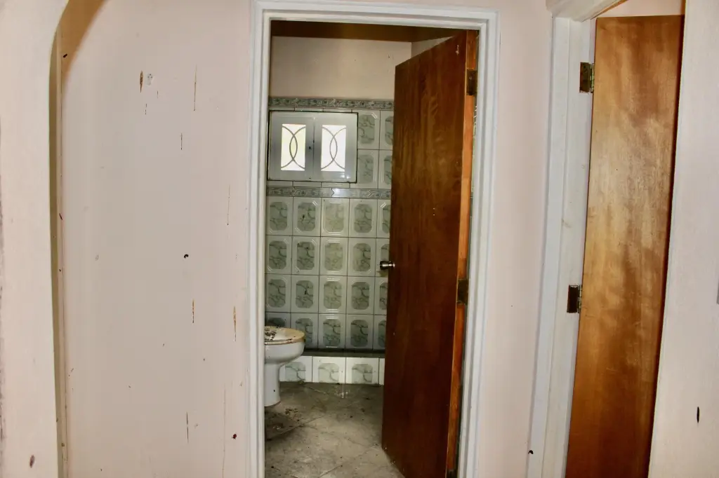 Picture 17