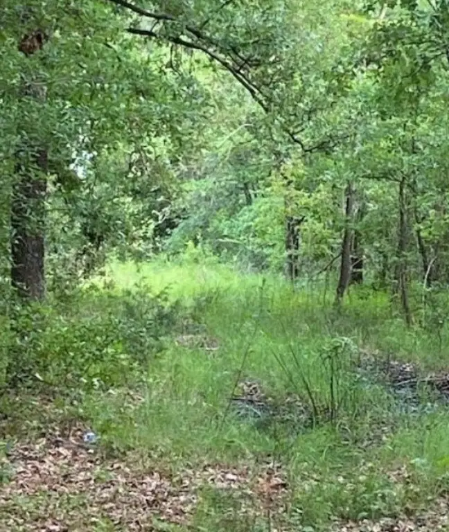 Picture 4