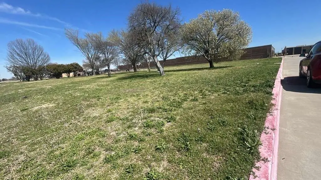 Picture 3