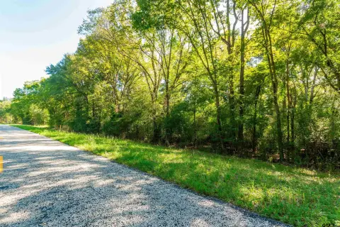 Wooded Land with Creek