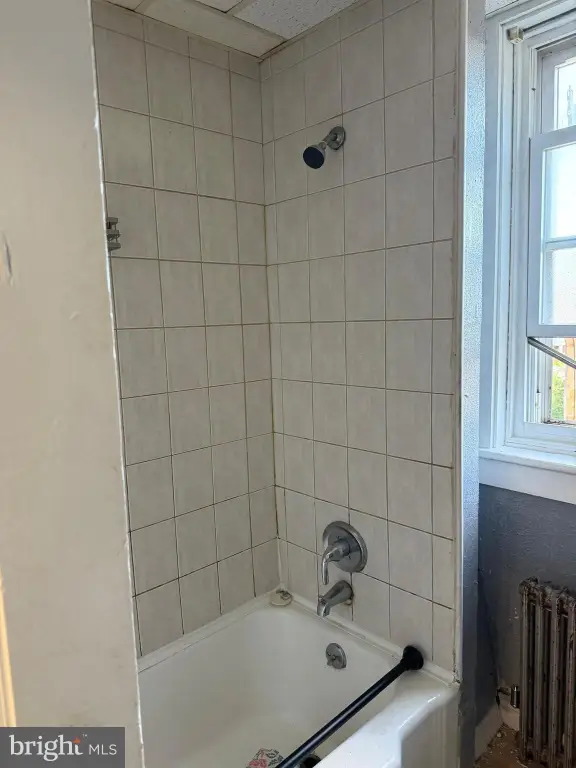 Picture 27