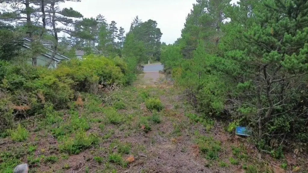 Picture 12