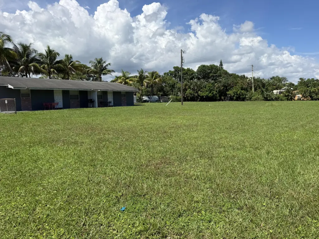 Picture 6