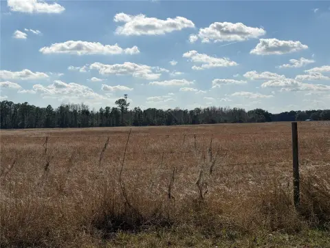 10-Acre Homesite in Groveland, FL