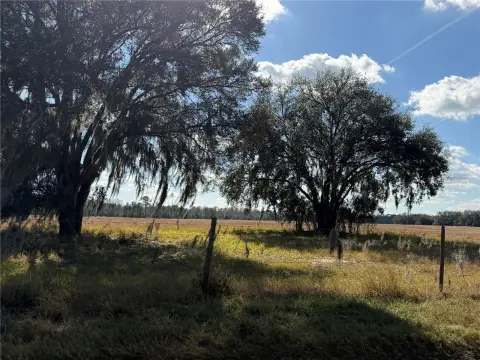 10+ Acre Homesite in Groveland