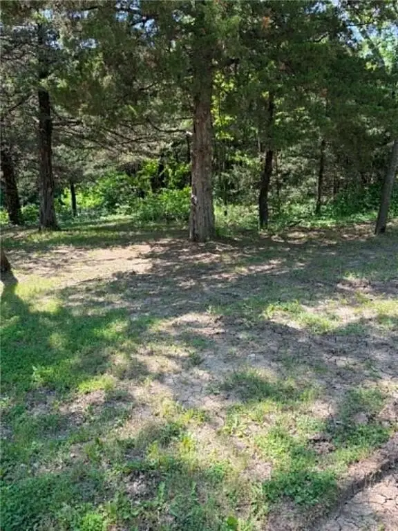Picture 4
