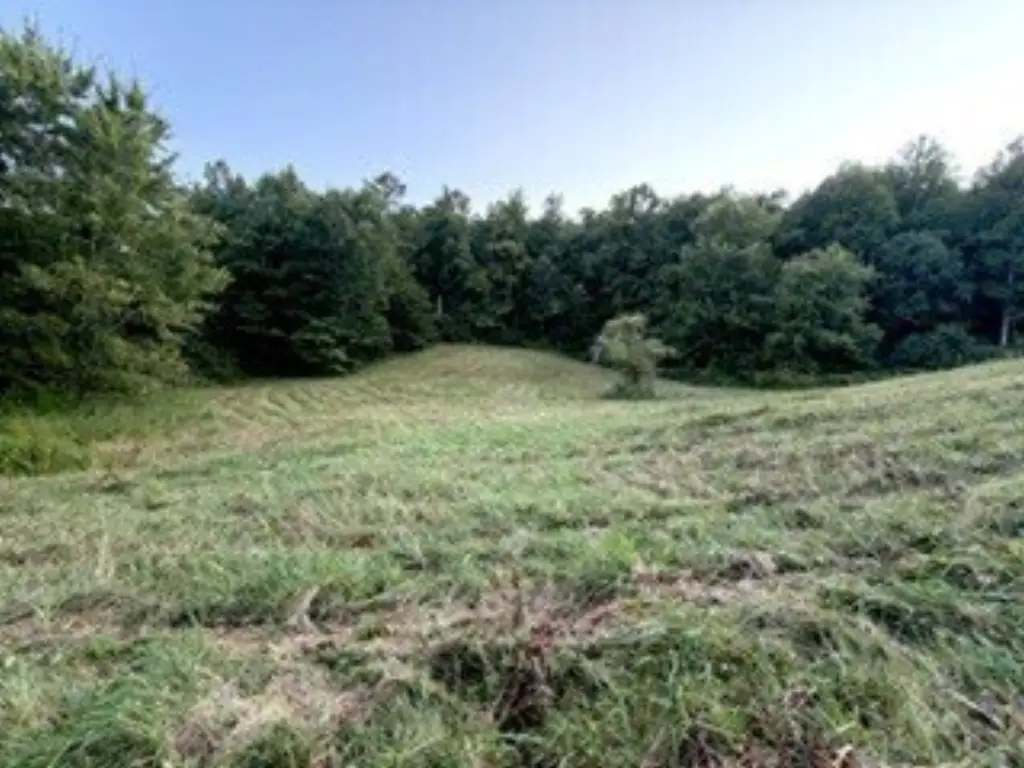 Picture 17