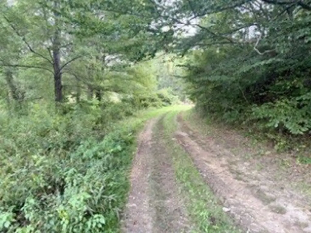Picture 8