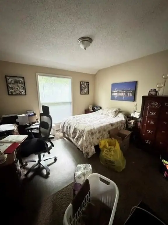 Picture 24