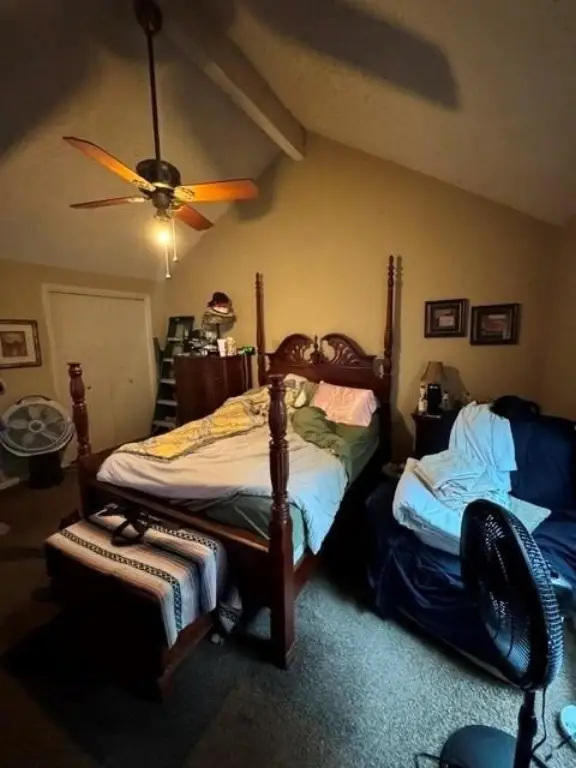 Picture 17