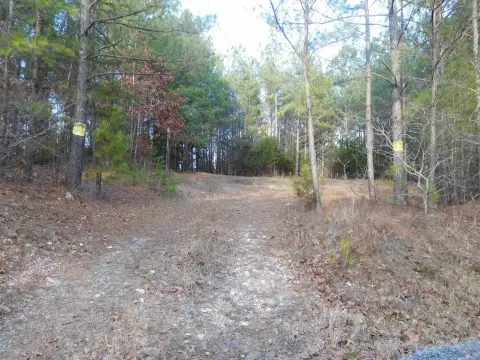 278 Acres of Wooded Land