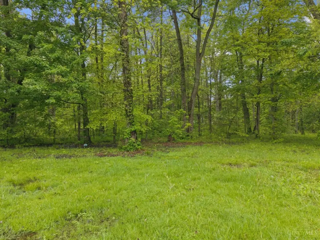 Picture 14