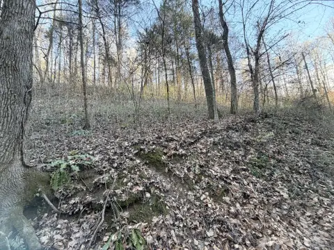 Unrestricted Land in Strawberry Plains