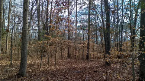 Dandridge Land with Mountain Views