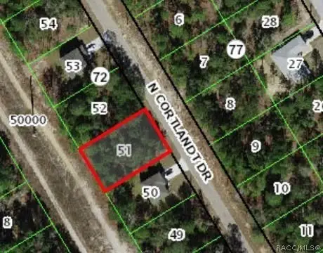 Residential Lot in Citrus Springs