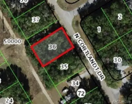 Residential Lot in Citrus Springs