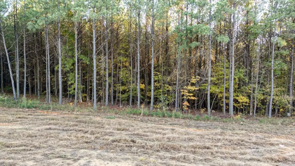 Picture 4