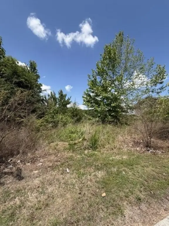 Picture 10